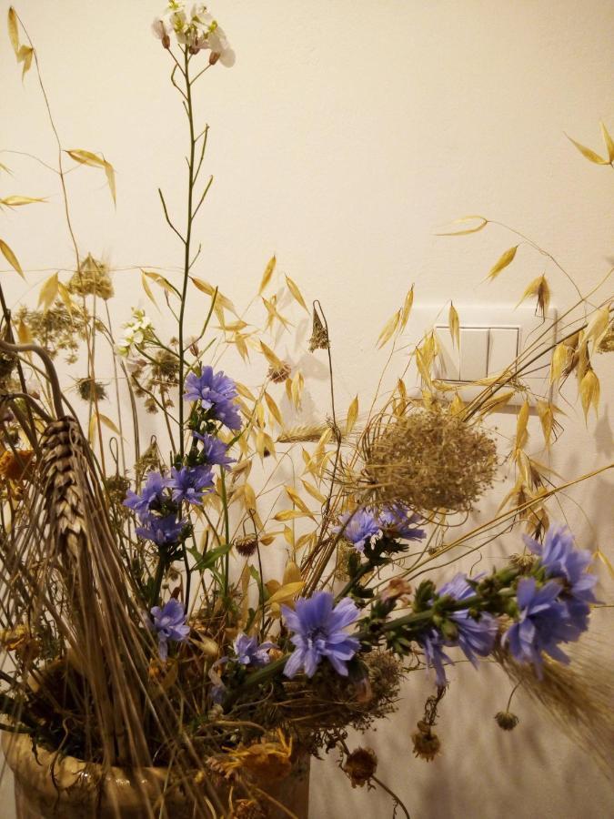Bed and Breakfast Cortile Calinea Castrignano del Capo Exterior foto
